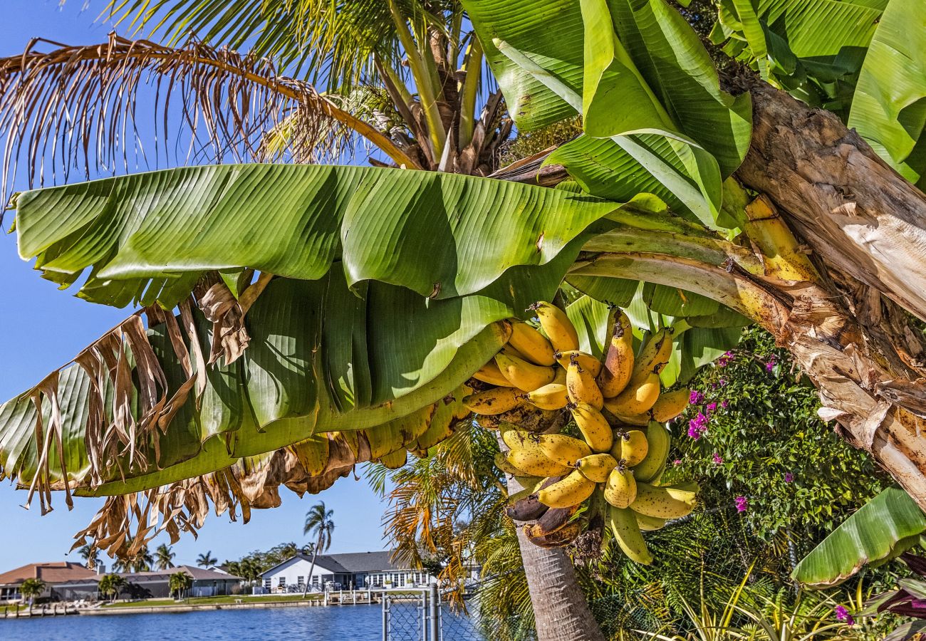 Ferienhaus in Cape Coral - THE PENINSULA Ferienhaus in Cape Coral - THE PENINSULA